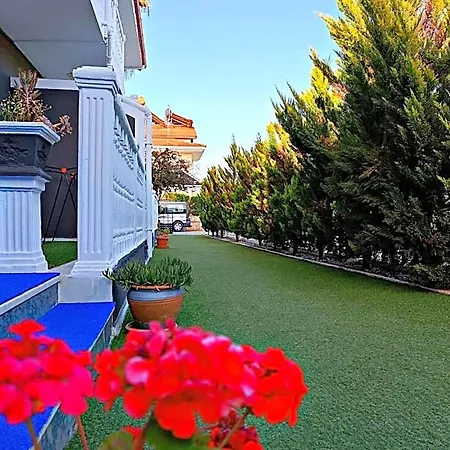 Sehzade Φετιγιέ